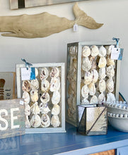 Load image into Gallery viewer, Oyster Shell Lantern