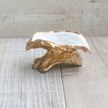 Load image into Gallery viewer, WS Oyster Shell Trinket Dish No Grit No Pearl