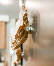 Load image into Gallery viewer, Personalized Oyster Shell Magnet