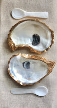Load image into Gallery viewer, Salt &amp; Pepper Cellars