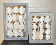 Load image into Gallery viewer, Oyster Shell Lantern